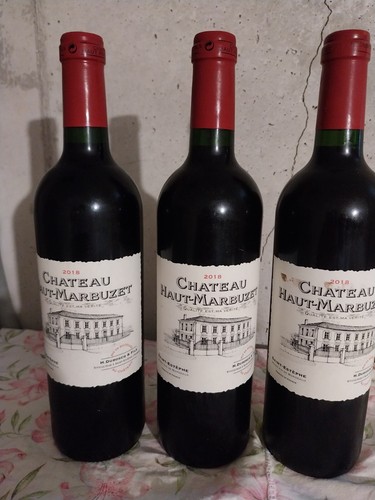 3bts château haut marbuzet - 3bts, haut-marbuzet