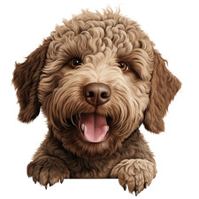 Autocollant Lagotto Romagnolo 9 x 9 cm boîtes à pain autocollant décoration d...