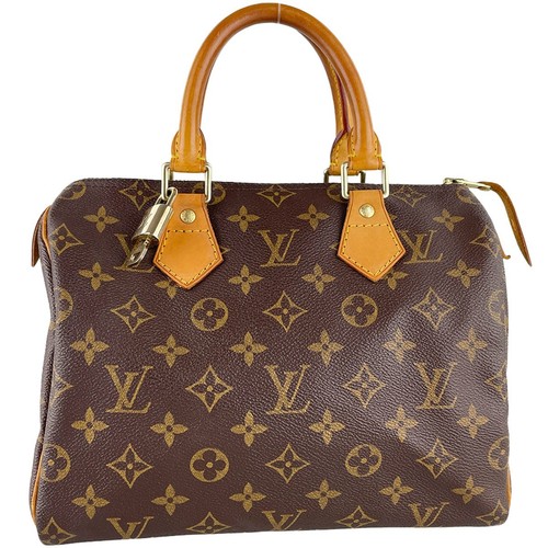 Sac main louis vuitton - main,