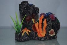 Aquarium Récif & Corail