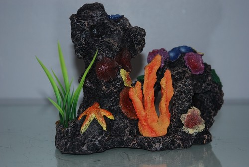 Aquarium récif corail - aquarium,