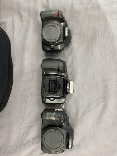 Lot camera bodies nikon - of,