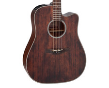 Takamine GD21CE