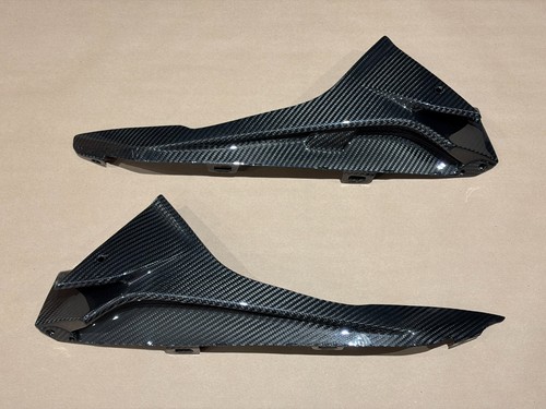 2015 2019 bmw s1000rr carbon - 2015-2019,