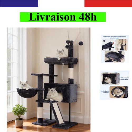 Gitelsnour arbre chat - gitelsnour,