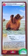 CARTE MERVEILLES DU MONDE -