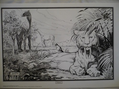 Brent anderson rare - brent,