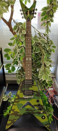 Washburn dime dimebag - dime, v