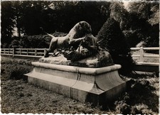 CPM La Boissiere Les lions