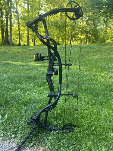 Hoyt carbon element bow - hoyt,