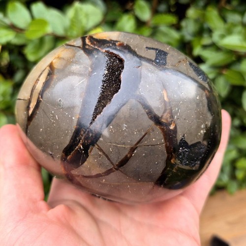 Septaria nodule - septaria,