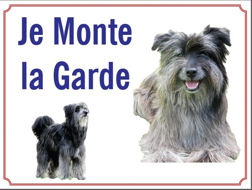 Attention chien je monte - attention, au