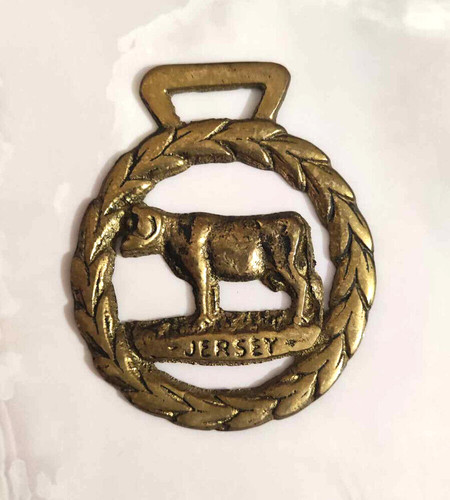 Vache laiton jersey - vache,