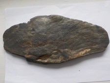 Paleolithic portable art