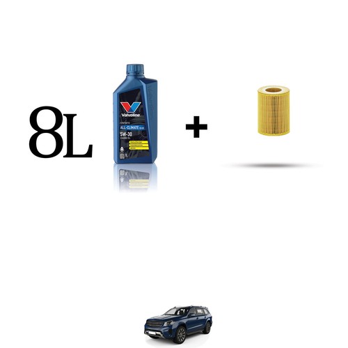 Kit filtre huile 8l pour - 8l,