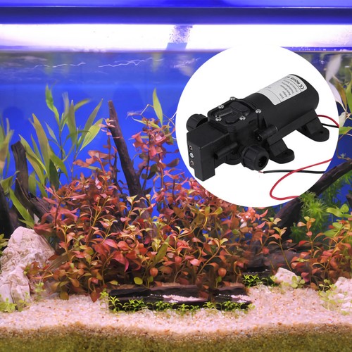 12v 60w pompe - 12v, à