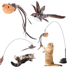4 Pièces Jouet Chat
