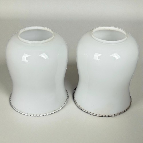 Paire tulipes verre - tulipes, en
