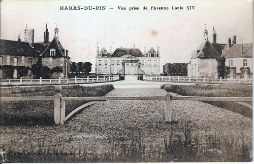 Carte postale haras pins - postale,, haras-du-pins