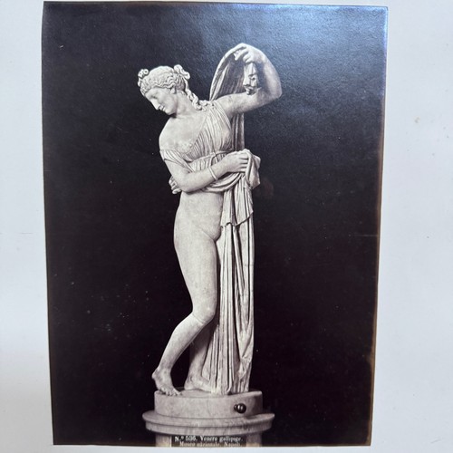 Photo albumine contrecollée