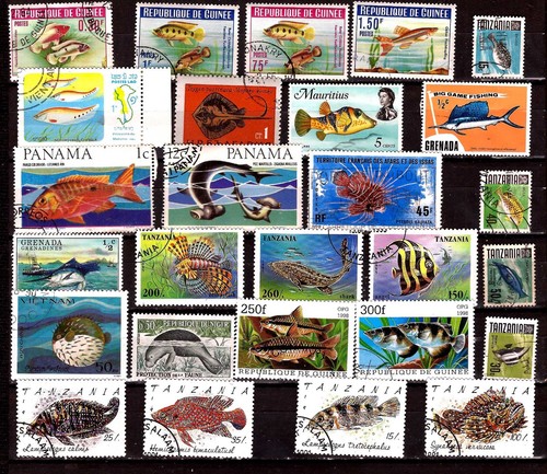 Pm153 tous pays poissons - pm153,