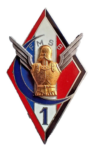 Insigne parachutistes para - ,