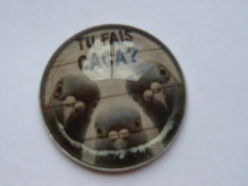 Pins pigeon dicton - pins,