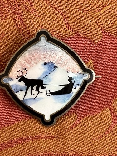 Superbe broche emaillée - superbe,
