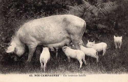 Cpa en limousin - 19, 87