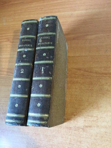 Manuel anatomie tomes - manuel, 2