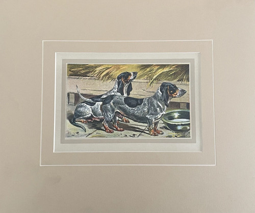 Cromolithographie sur papier - cromolithographie,