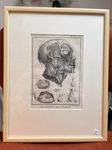Ancien estampe gravure - ancien,