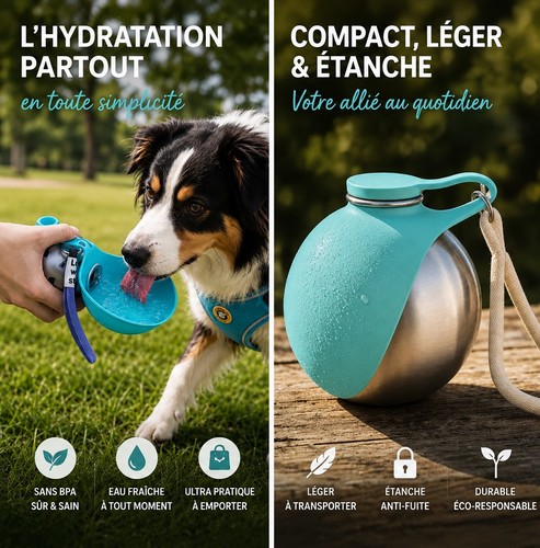 Gourde design pour - chien, et