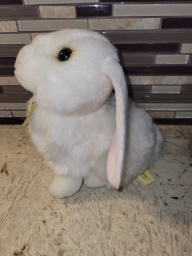 Lop eared rabbit miyoni - lop,