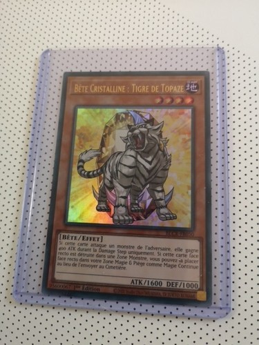 Bête cristalline tigre - tigre, de