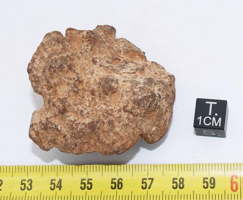 Météorite haggounia 001 - al,