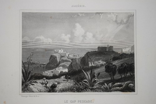 Cap pescade afrique gravure - afrique,
