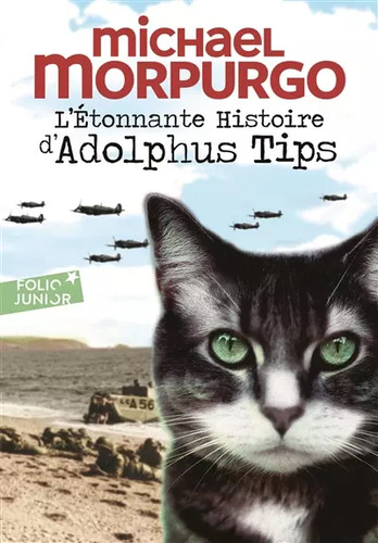 étonnante histoire - l'Étonnante,