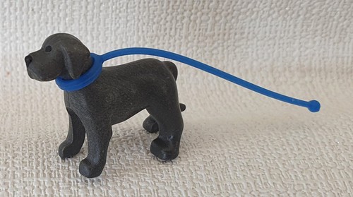 Chien noir laisse - en,