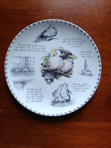 Assiette wedgwood the - wedgwood, "the