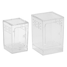 Terrarium transparent en