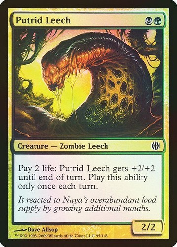 Mtg putrid leech - leech, sangsue