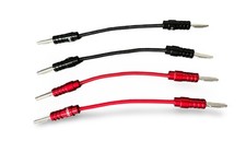 Câble cavalier Chord Epic X Speaker Links