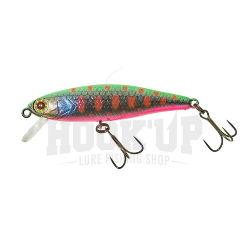 Illex tiny fry sp - fry,
