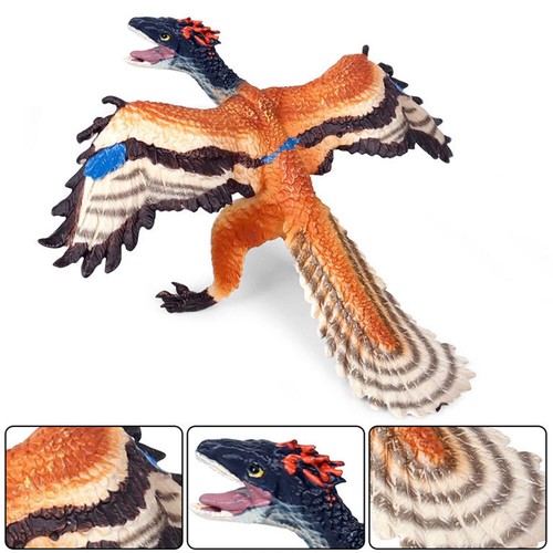 Archaeopteryx dinosaur model - archaeopteryx,