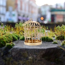  Cage Oiseaux Decorative