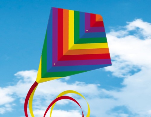 Cerf volant spectro 80x65cm - spectro,