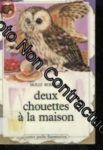Deux chouettes maison - a,