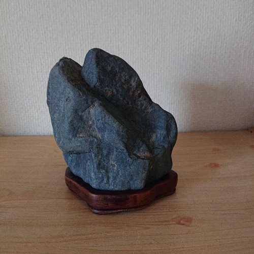 Suiseki bonsaï jardin - bonsaï,