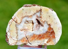 Calcedoine var. agate & Quartz